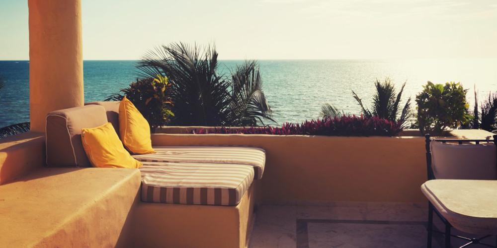 Ένα μικρό… μυστικό για να προστατεύσετε τα αγαπημένα σας φυτά από την ψώρα