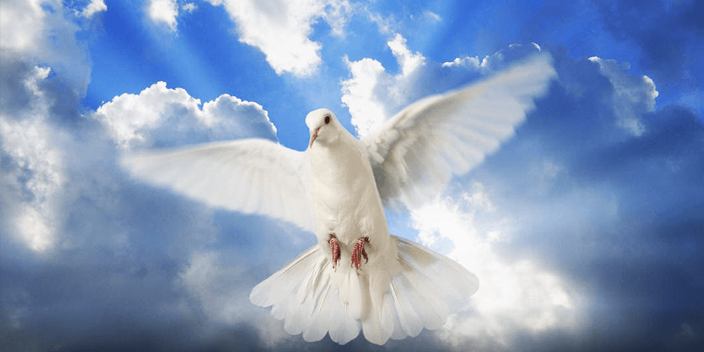 Το... Άγιο Πνεύμα έσωσε έναν οδηγό από πρόστιμο για υπερβολική ταχύτητα