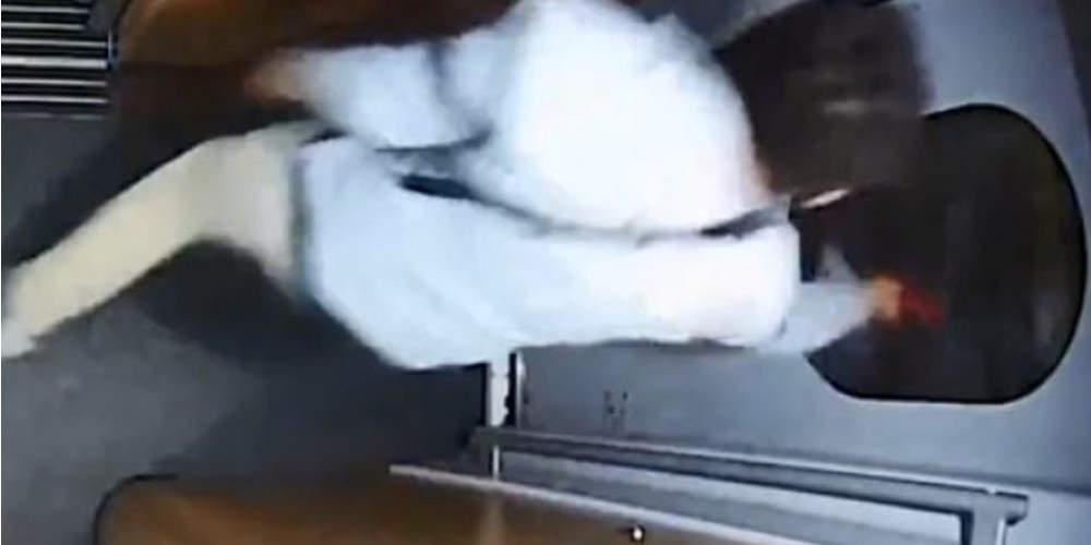 Πανέξυπνος: Έσπασε το παράθυρο ταχύτατου τρένου για να πάρει αέρα [βίντεο]