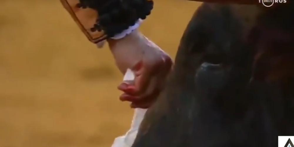 Ταυρομάχος σκουπίζει τα ματωμένα δάκρυα του ταύρου πριν τον σκοτώσει και το βίντεο γίνετε viral