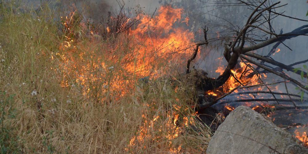 Υπό έλεγχο η φωτιά στο Λαγονήσι: Μία προσαγωγή και έκτακτες κυκλοφοριακές ρυθμίσεις [βίντεο]