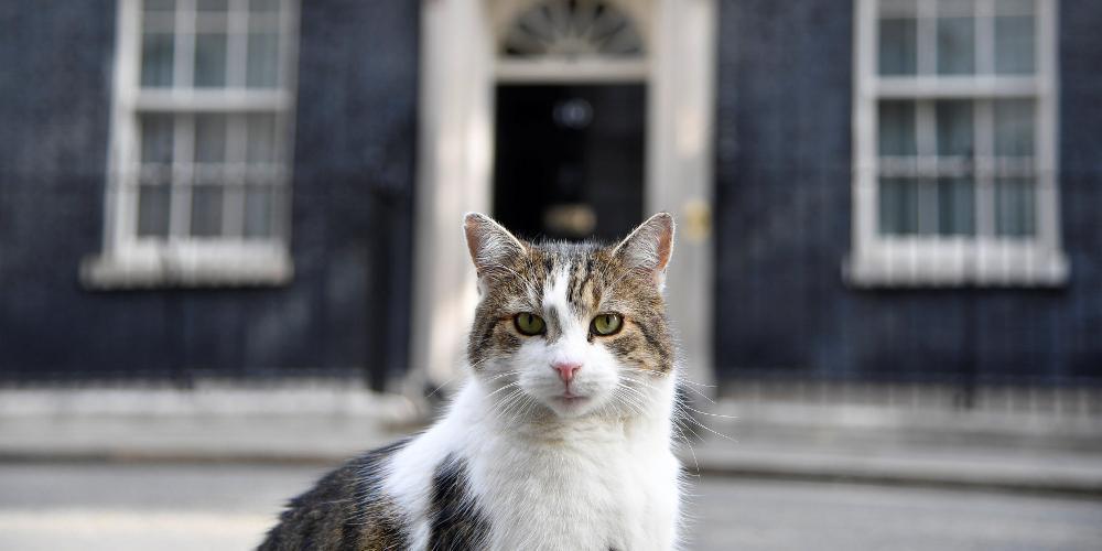 Ο Λάρι έδειξε στον Τραμπ ποιος είναι το... αφεντικό στη Downing Street προσπαθώντας να μπει στη λιμουζίνα του [εικόνα]