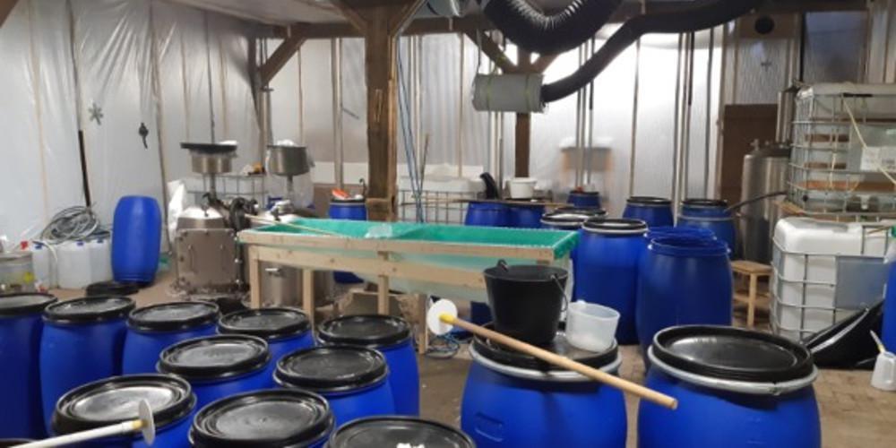 Τεράστιο εργαστήριο κοκαΐνης αποκαλύφθηκε χάρη σε ένα... ξεριζωμένο δέντρο