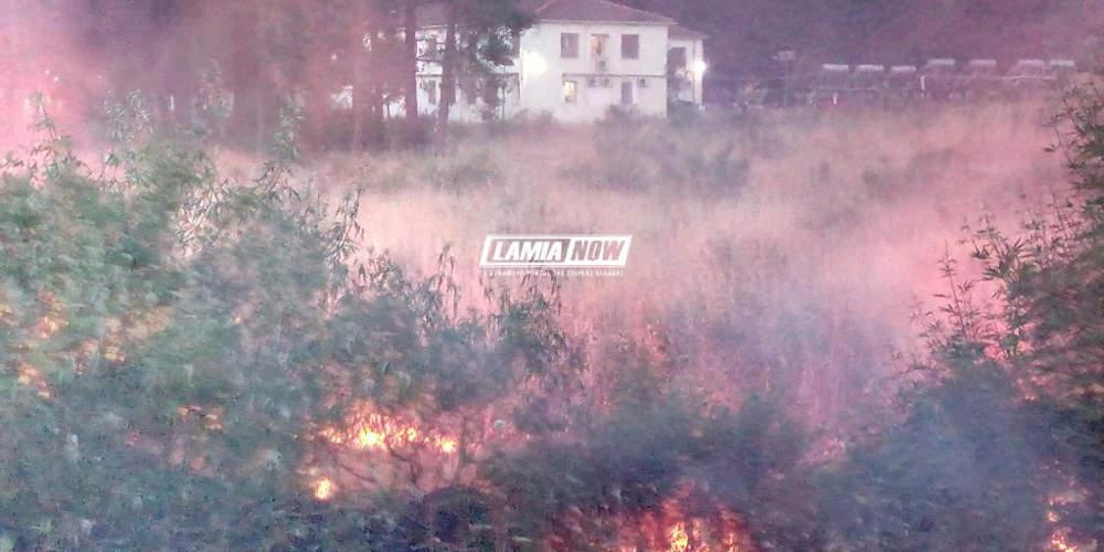 Πυρκαγιά στο hot spot στις Θερμοπύλες – Άμεσα αντανακλαστικά προσωπικού και προσφύγων