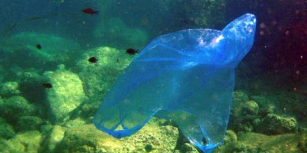 Το θέατρο του παραλόγου: Μειώθηκαν μόνο οι λεπτές και όχι γενικά οι πλαστικές σακούλες