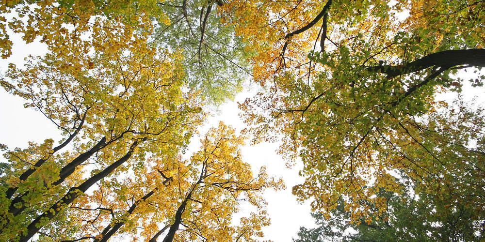 Η Πολιτική Προστασία προειδοποιεί: Επικίνδυνες οι λεύκες κοντά σε δρόμους και διερχόμενα οχήματα