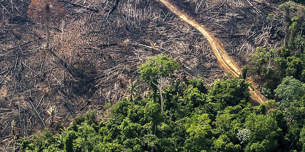 Το δάσος του Αμαζονίου υπέστη ακρωτηριασμό επιφάνειας ίσης με αυτήν σχεδόν όλης της Ισπανίας σε 40 χρόνια