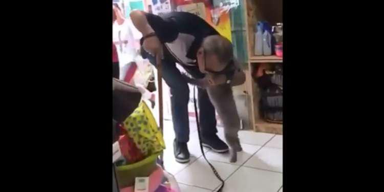 Η συγκινητική στιγμή που σκύλος επανενώνεται με τον ιδιοκτήτη του στον Πειραιά [βίντεο]