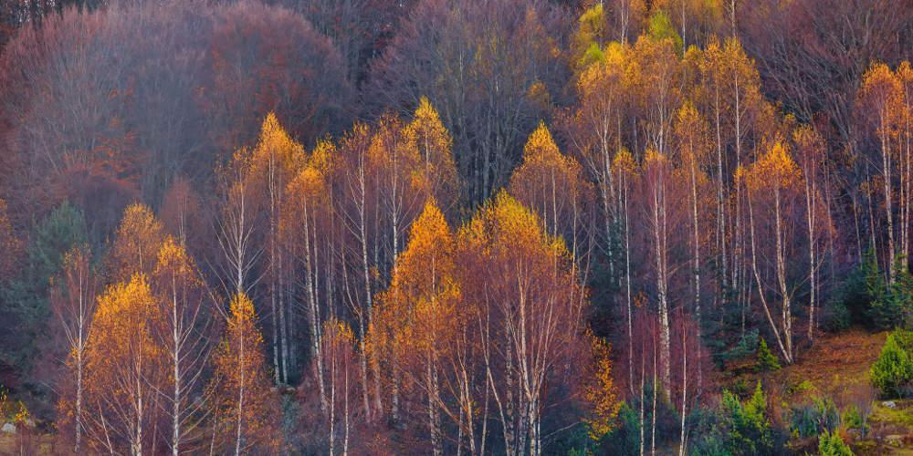 Αυτές είναι οι επιπτώσεις της κλιματικής αλλαγής στη δυτική Ελλάδα