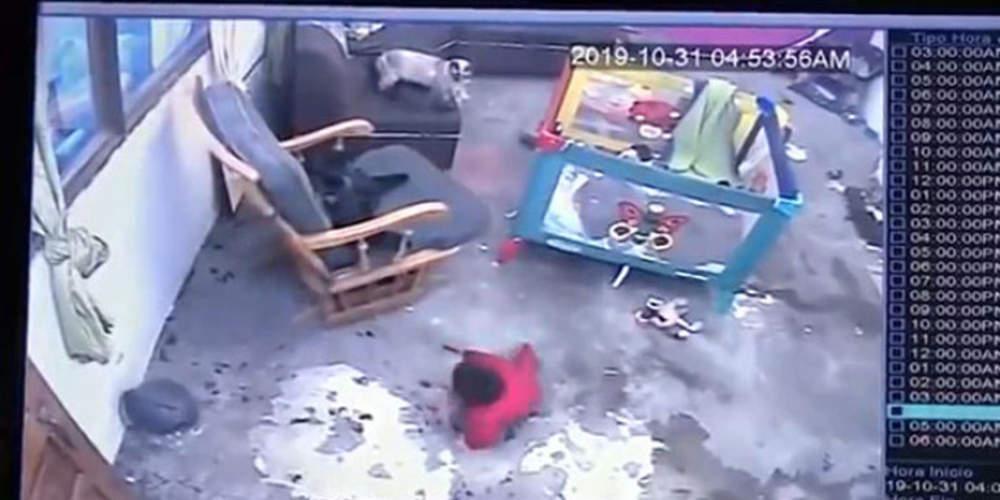 Απίστευτο βίντεο: Γάτα σώζει μωρό πριν πέσει από σκάλα