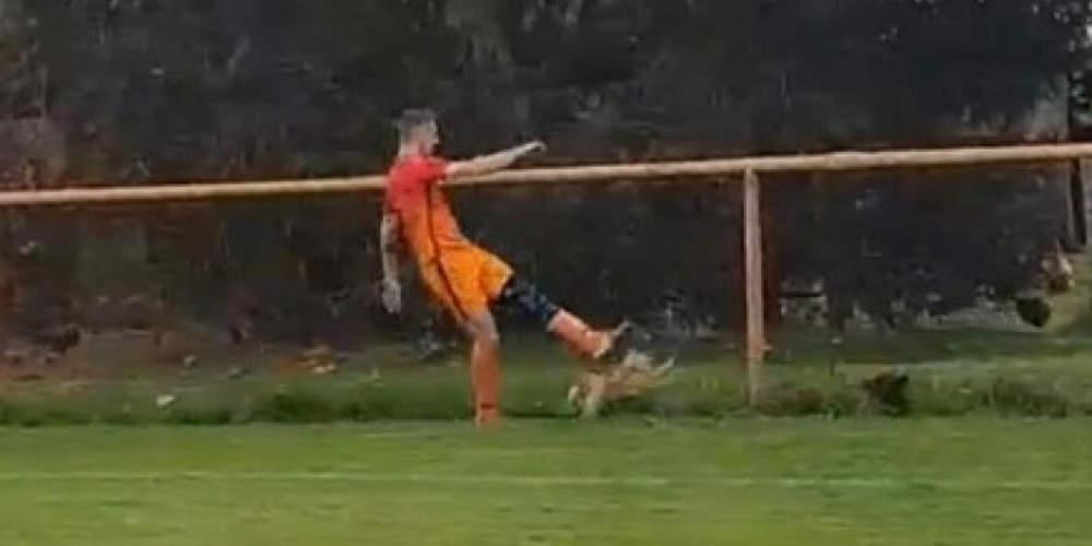 Απίστευτο: Ποδοσφαιριστής στην Κροατία αποβλήθηκε… επειδή σκότωσε μια κότα