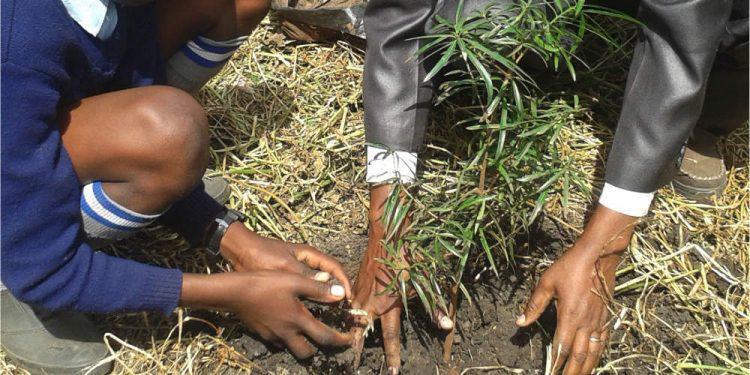 Καινοτόμα εφαρμογή σβήνει το ανθρακικό αποτύπωμα των ταξιδιών