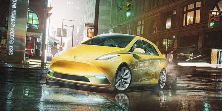 Απίστευτο: Το εργοστάσιο της Tesla στη Γερμανία μετακομίζει λόγω… μυρμηγκιών