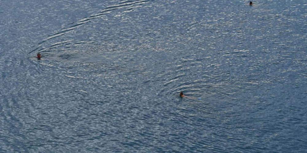 Απίστευτο: Στο Ναύπλιο υποδέχθηκαν το νέο έτος με… μπάνιο στη θάλασσα