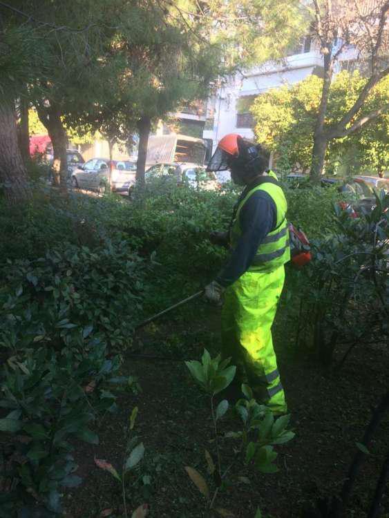 Εσωτερική εικόνα άρθρου