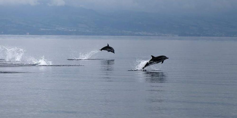 Θεσσαλονίκη
