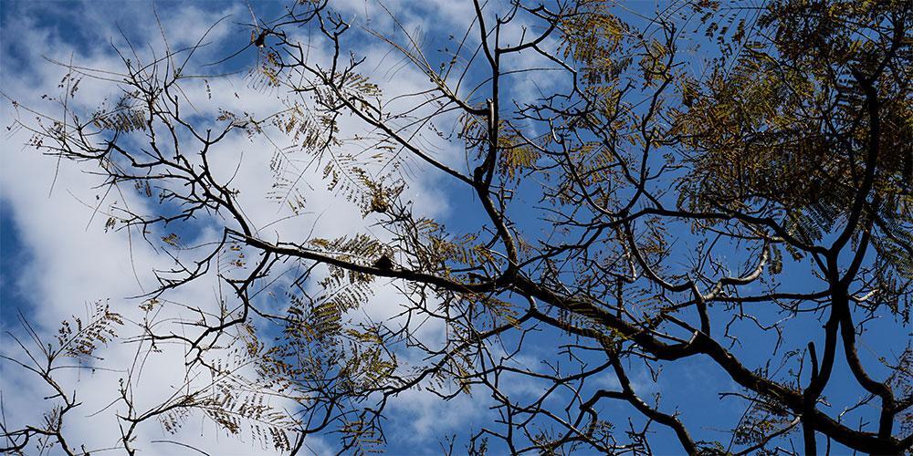 Καιρός: Ανεβαίνει η θερμοκρασία – Δείτε αναλυτικά την πρόγνωση