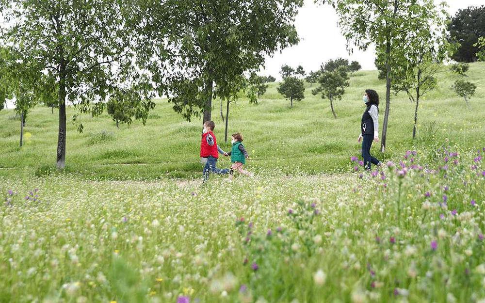 Η «ακτινογραφία» της σχέσης κορωνοϊού και παιδιών – Μία ειδικός αναλύει τα δεδομένα