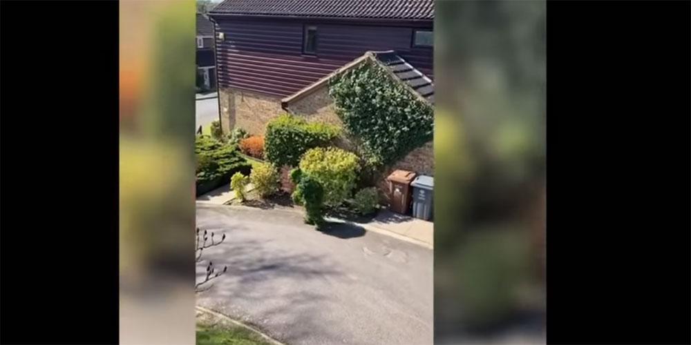 Όταν η φαντασία… «καλπάζει»: Ντύθηκε θάμνος και «έσπασε» την καραντίνα [βίντεο]