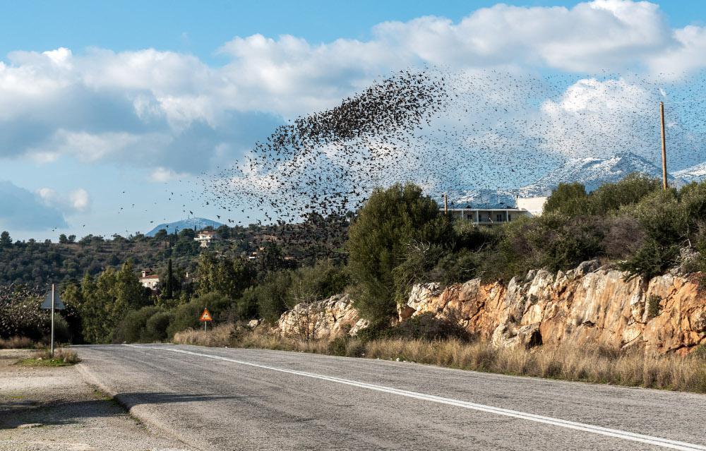 Ελεύθερες οι οδικές μετακινήσεις για την Εύβοια