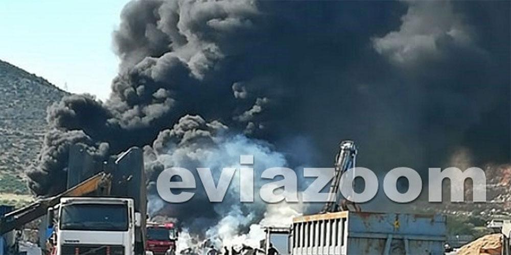 Φωτιά σε επιχείρηση ανακύκλωσης στην Αυλίδα