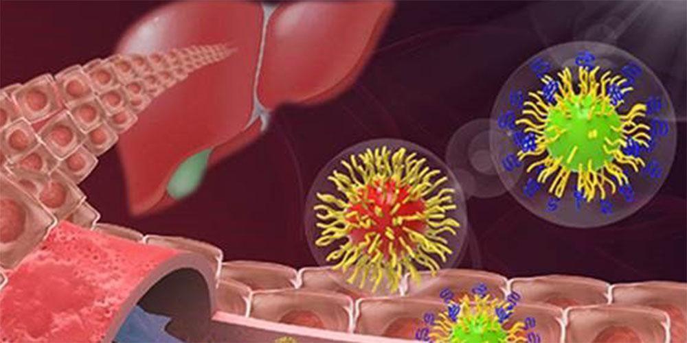 Ισχυρό ανοσοποιητικό σύστημα προϋποθέτει υγιές ήπαρ