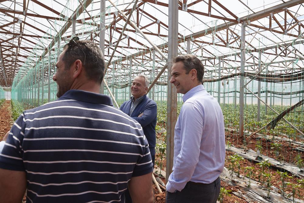 Ο Μητσοτάκης σε αγρόκτημα στον Αυλώνα: Ο πρωτογενής τομέας μοχλός ανάπτυξης και ανασυγκρότησης της χώρας