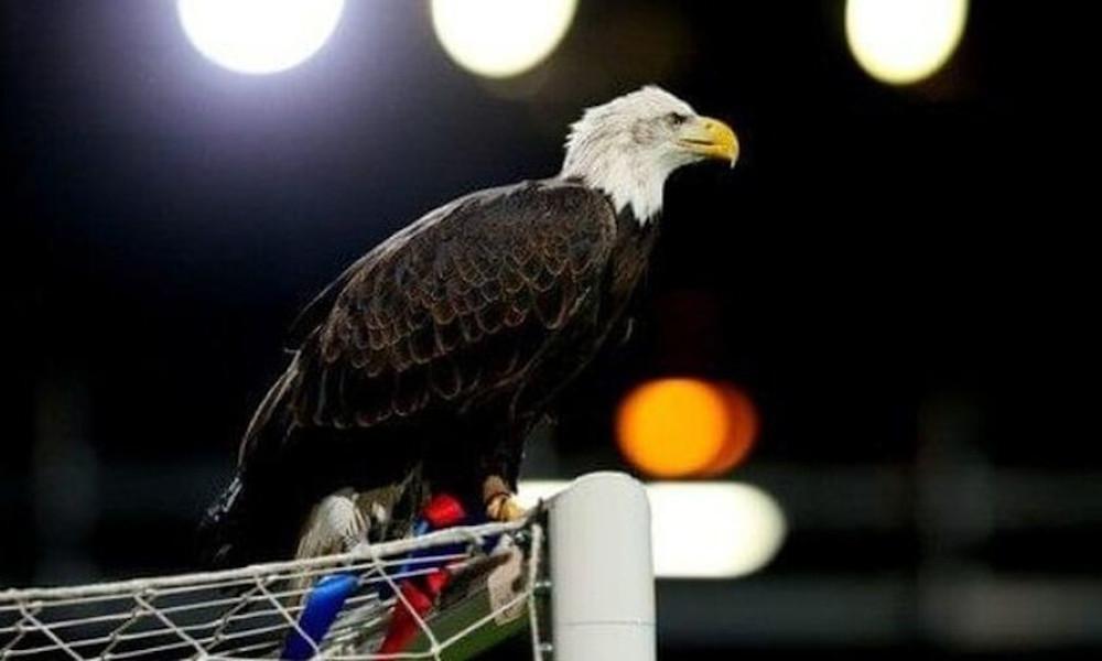 «Εφυγε» ο αγαπημένος αετός της Κρίσταλ Πάλας