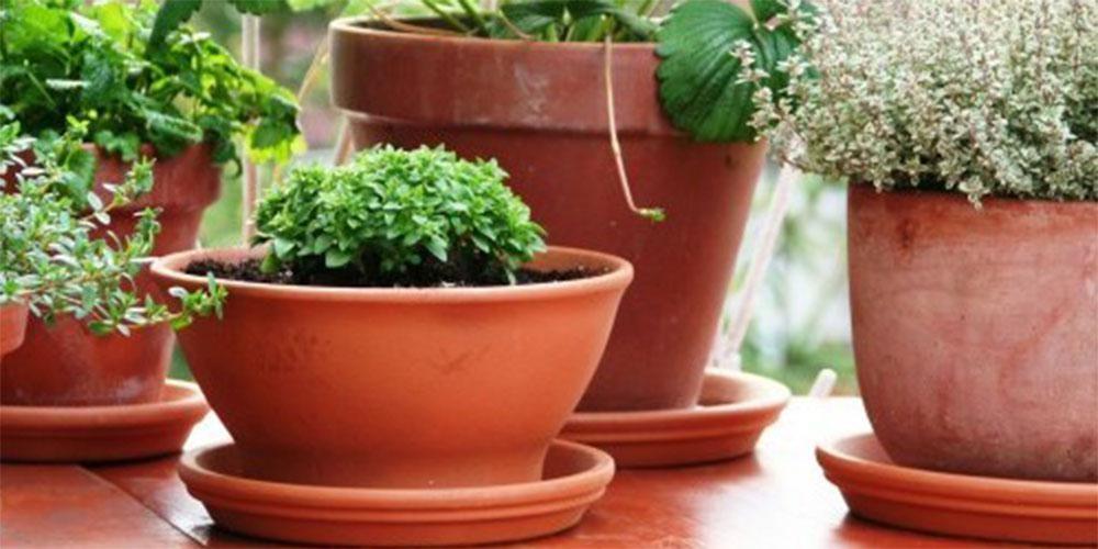 Κρήτη: Γυναίκα επιτέθηκε στον πρώην της με μαχαιροπίρουνα και γλάστρες