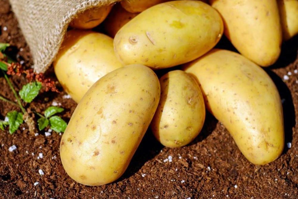 Εκρηκτική άνοδος τιμών στα γεωργικά προϊόντα