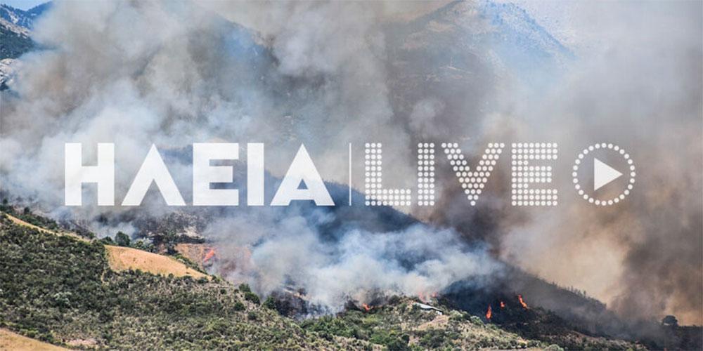 Φωτιά στην Ωλένη Ηλείας: Ενισχύονται οι δυνάμεις – Ισχυροί άνεμοι στην περιοχή