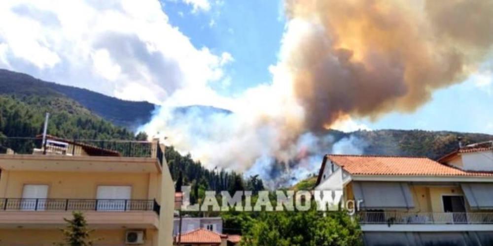 Σε εξέλιξη μεγάλη φωτιά στην Αταλάντη - Κοντά σε σπίτια οι φλόγες