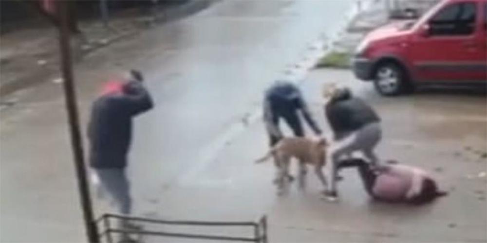 Σοκαριστικό βίντεο: Η στιγμή που πίτμπουλ επιτέθηκε σε 7χρονη