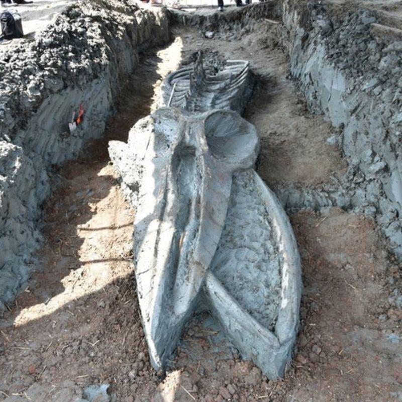 Εσωτερική εικόνα άρθρου