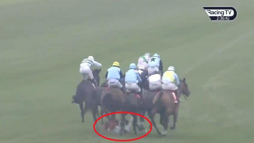 Τρομακτική πτώση αναβάτη σε ιπποδρομία: Ποδοπατήθηκε από τα άλογα