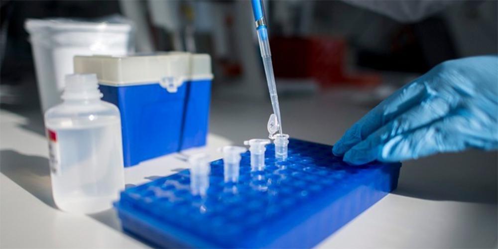 Επιστήμονες κατασκεύασαν για πρώτη φορά «συνθετικά» ανθρώπινα έμβρυα