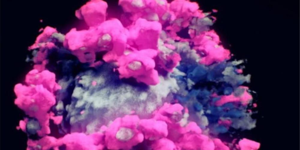 Κορωνοϊός: Συναγερμός για τη νέα παραλλαγή του ιού που εξαπλώνεται συνεχώς στη Νέα Υόρκη