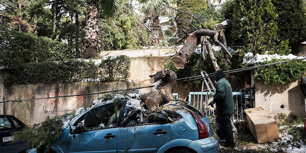 Κακοκαιρία «Μήδεια»: Οι ρίζες» των ευθυνών για τα δέντρα του μπλακ άουτ – Ο ρόλος δήμων, ΔΕΔΔΗΕ και Πολιτικής Προστασίας