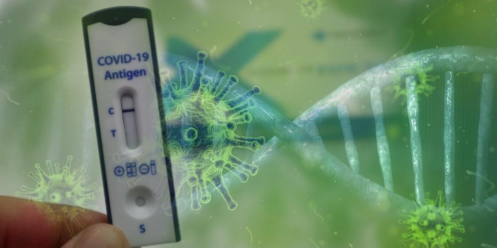 Self test: Ανοίγει η πλατφόρμα για μαθητές Λυκείου και εκπαιδευτικούς