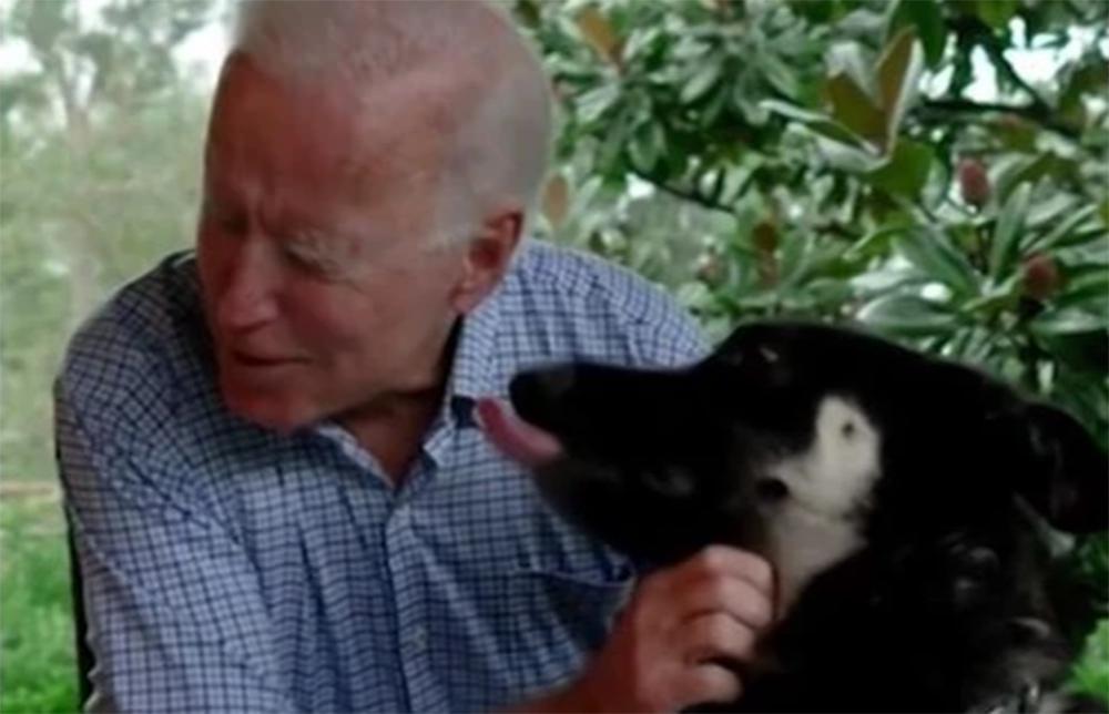 Εκτός Λευκού Οίκου τα σκυλιά του ζεύγους Μπάιντεν λόγω επιθετικής συμπεριφοράς!