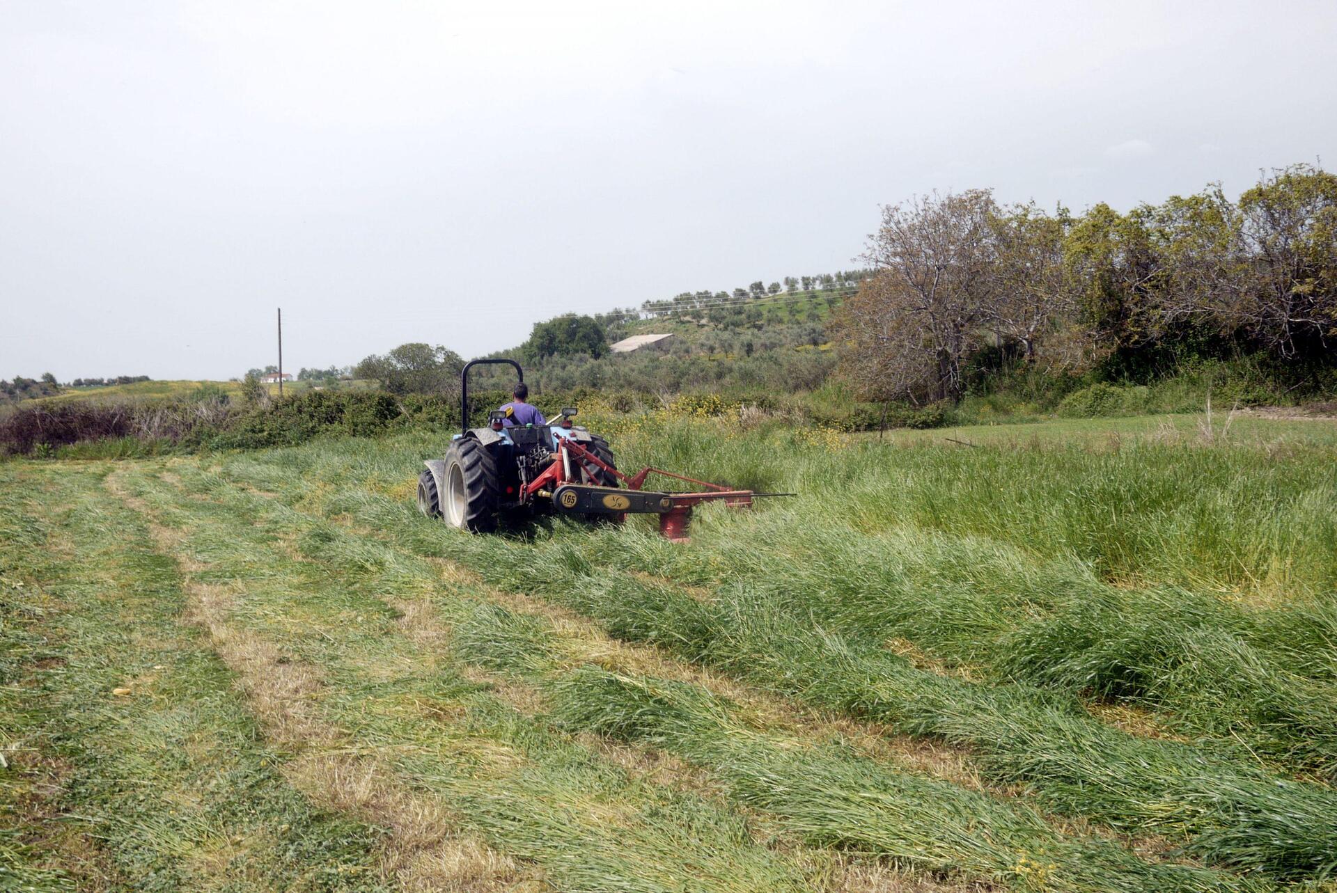 δασικοί χάρτες