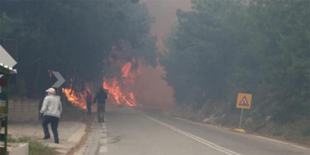 Σε εξέλιξη φωτιά στη Σάμο - Μεγάλη επιχείρηση της Πυροσβεστικής
