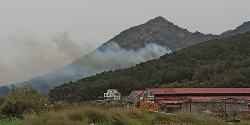 Σάμος: Σε ύφεση η πυρκαγιά που ξέσπασε το μεσημέρι του Σαββάτου