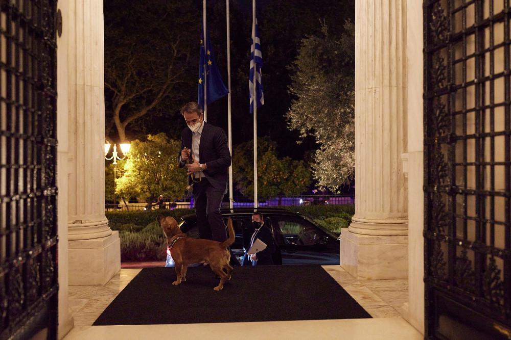 Το Μέγαρο Μαξίμου έχει πλέον τετράποδο ένοικο: Υιοθετήθηκε ο Πίνατ