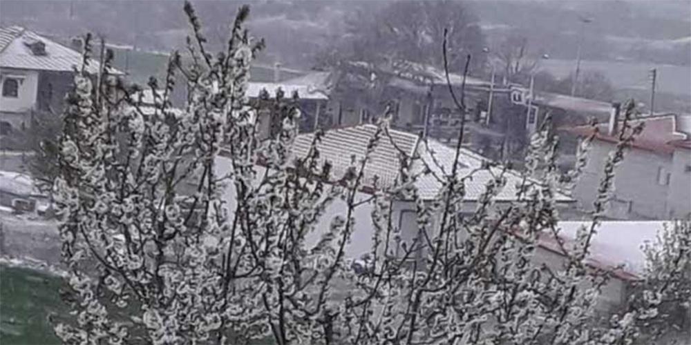 Καιρός: Στα «λευκά» η Κοζάνη και περιοχές της Θεσσαλονίκης