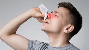 Εσωτερική εικόνα άρθρου