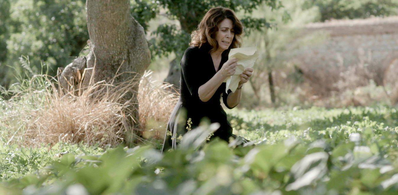 Άγριες Μέλισσες-επεισόδιο Τρίτης (1/6): Το βράδυ βρίσκει το Διαφάνι στα όπλα