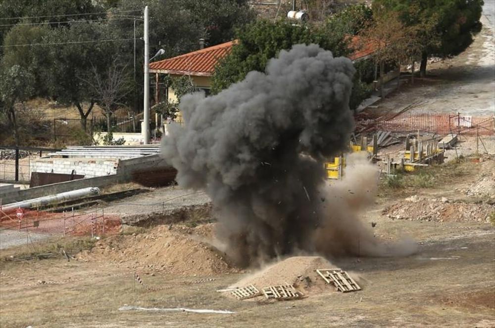 Βόλος: Βλήμα από πεδίο βολής σκότωσε ένα κοπάδι πρόβατα [βίντεο]