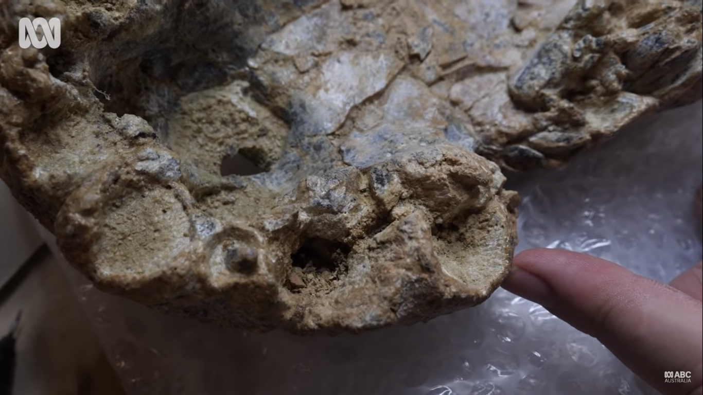 κροκόδειλος