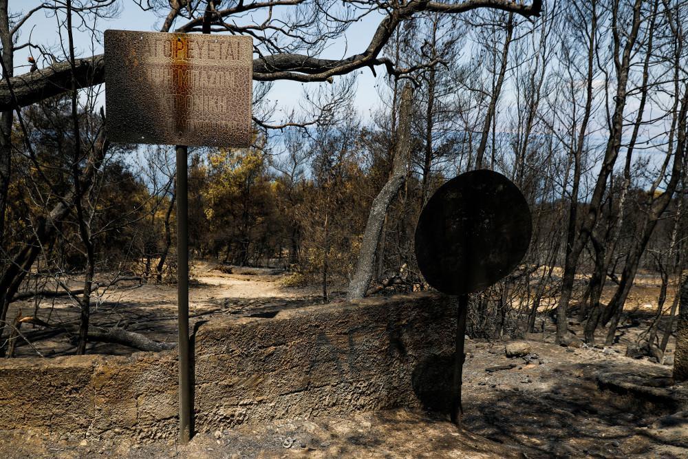 Φωτιά στον Σχίνο: Γροθιά στο στομάχι οι εικόνες καταστροφής